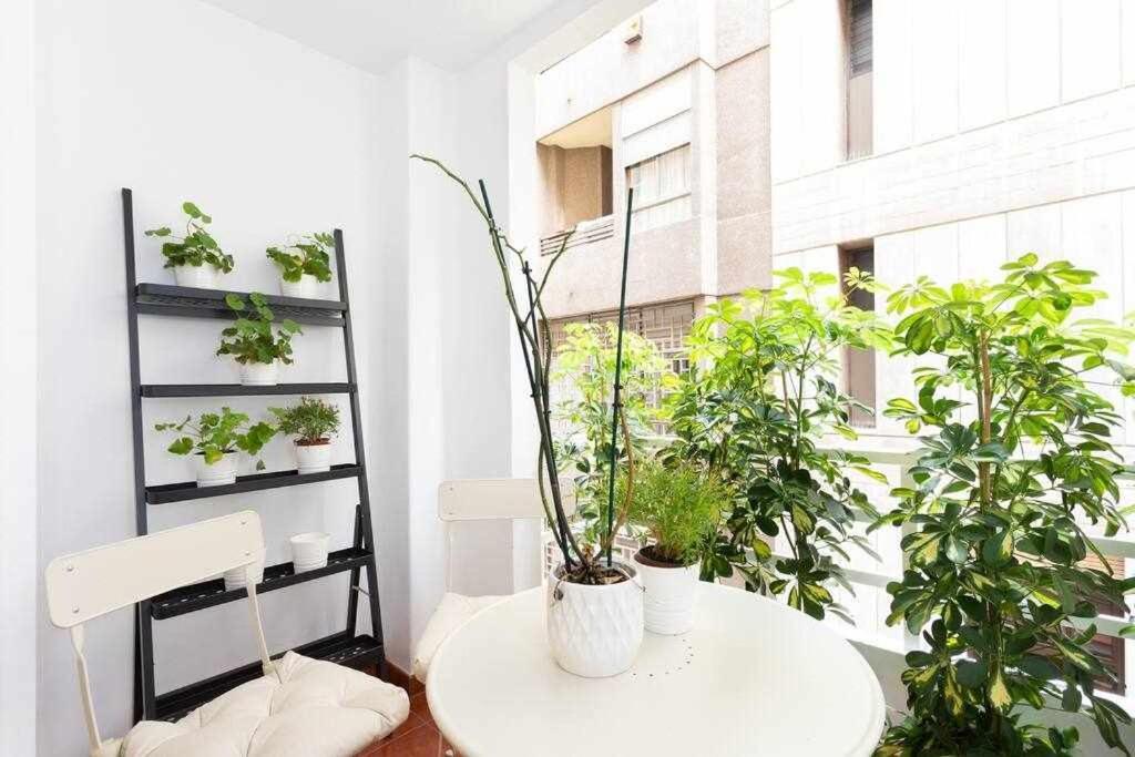 Appartement Sabino Dreams Santa Cruz Extérieur photo